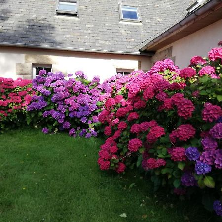 Le Tregonnec, Pres De Morlaix, Roscoff Bed & Breakfast Plouvorn Eksteriør bilde