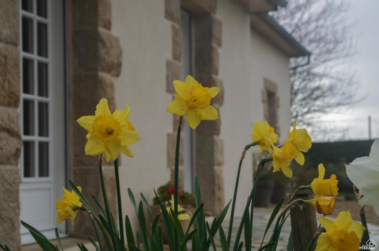 Le Tregonnec, Pres De Morlaix, Roscoff Bed & Breakfast Plouvorn Eksteriør bilde